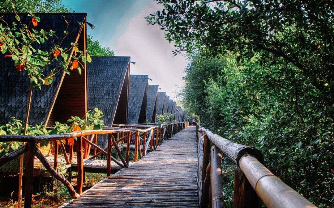 Wisata Alam Mangrove, Pantai Indah Kapuk